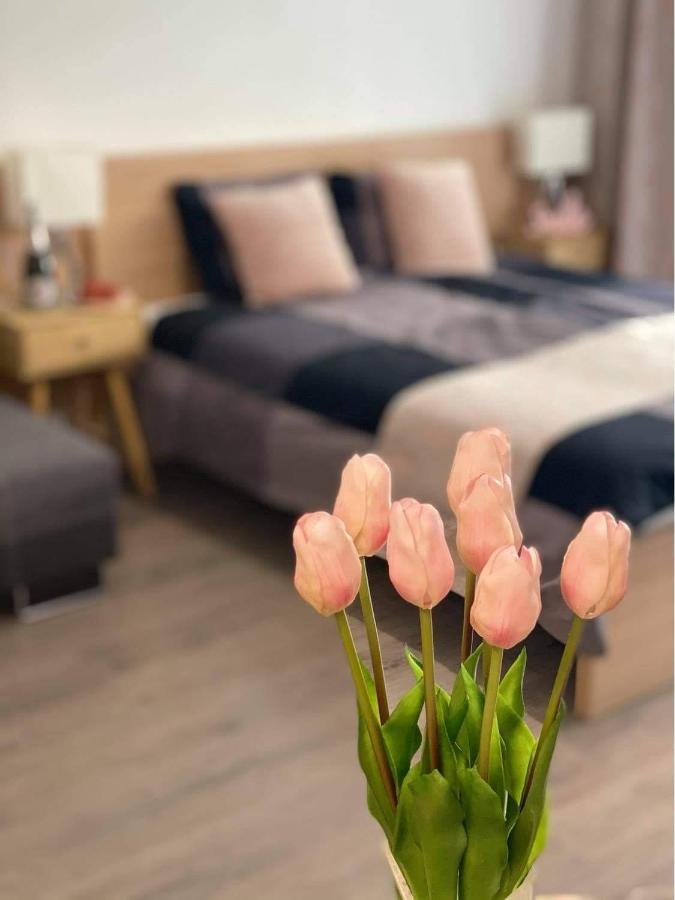 And Apartment Velence